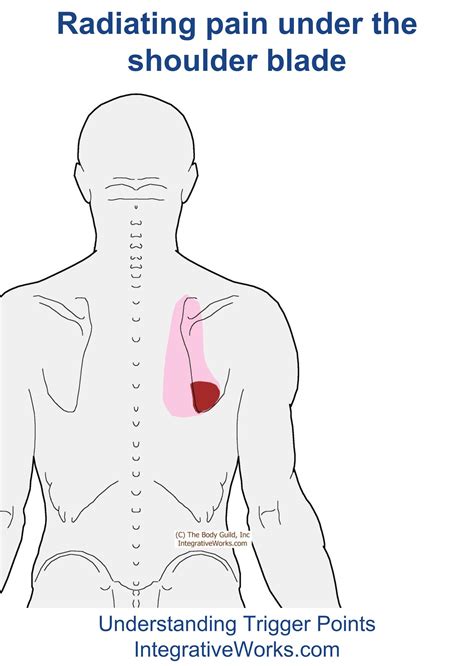 The most characteristic symptom of pleurisy is sharp, stabbing pain in the chest or shoulder. . Stabbing pain under left shoulder blade when breathing